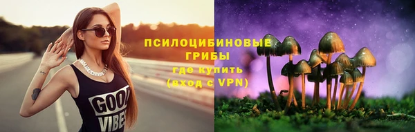 ALPHA PVP Алексин