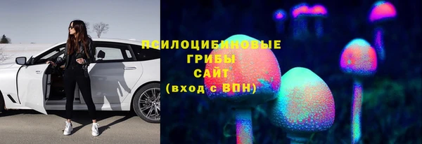 тгк Алексеевка