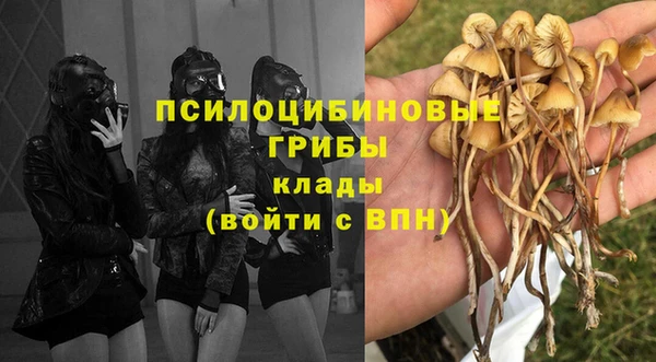 дмт Алзамай